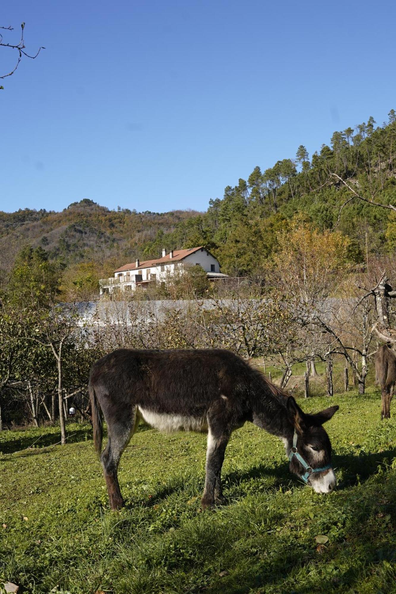 Agriturismo Ca Du Chittu Carro Exterior photo